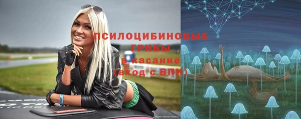 стаф Заволжье