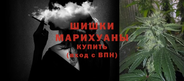 не бодяженный Заводоуковск
