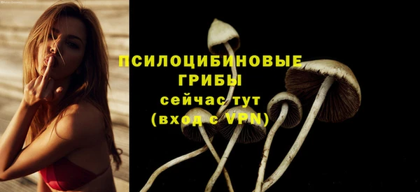 стаф Заволжье
