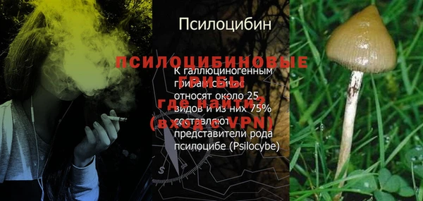 не бодяженный Заводоуковск