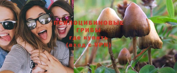 стаф Заволжье
